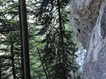 Excursión Senderismo Voreppe - vire de l'aiguille de Chalais  - Photo