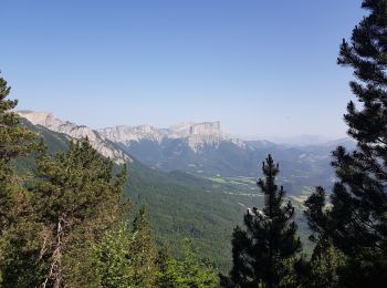 Trail Walking Chichilianne - Tete de Praortzel et Crête de Grande Leirie - Photo