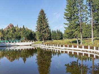 Trail On foot Brasov - Poiana Brașov - Padina Lăutei - Cabana Postăvaru - Photo