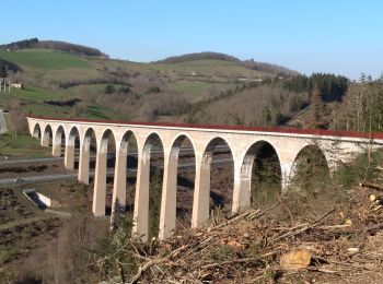 Trail Walking Bussières - bussières  montcellier viaduc pont marteau bussières v14km - Photo