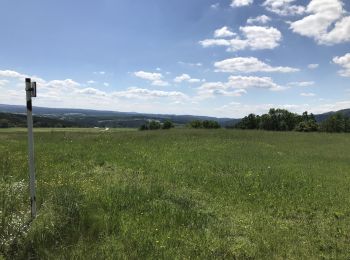 Excursión A pie Nittenau - Drei-Burgen-Weg (Nittenau) - Photo