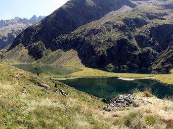 Tour Zu Fuß Castillon-de-Larboust - Lac Vert, Boucle par l'Est - Photo