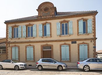 Randonnée A pied Pujaudran - Circuit de la Forêt de Lartus - Photo