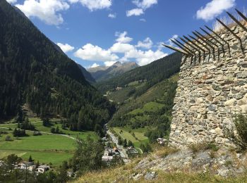 Tour Zu Fuß Zernez - Susch - Lavin - Photo