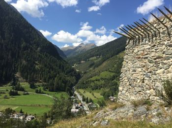 Randonnée A pied Zernez - Susch - Lavin - Photo