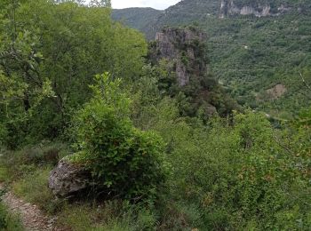 Tour Wandern Rogues - 34 le saut du Loup 10 06.23 - Photo