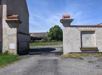 Tour Zu Fuß Jungbunzlau - CZ-3031 - Photo