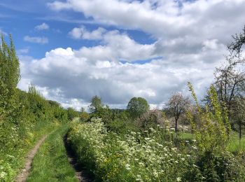 Trail Walking Barneville-la-Bertran - Honfleur  - Photo