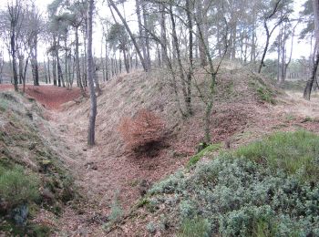 Randonnée A pied Apeldoorn - palieis 't Loo 