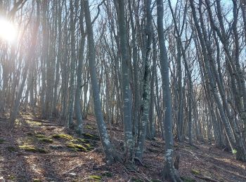 Randonnée Marche Eyzahut - Montagne du Poët - Photo