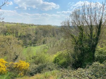 Tour Wandern Orée-d'Anjou - La coulée st Joseph  - Photo