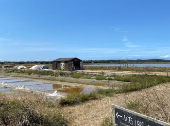 Percorso Marcia L'Île-d'Olonne - Sentier la fleur de sel  - Photo