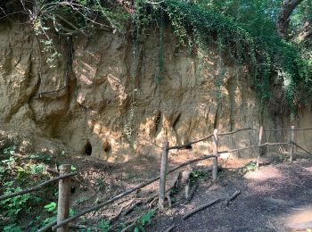 Tour Wandern Sint-Truiden - Le site géologique d'Engelmanshoven - Photo