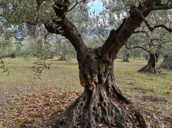 Randonnée Marche Lurs - lurs - Photo