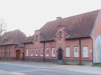Tocht Te voet Maaseik - Bergerven Groene rechthoek - Photo