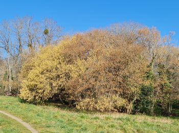 Tocht Stappen Limoges - landouges  - Photo