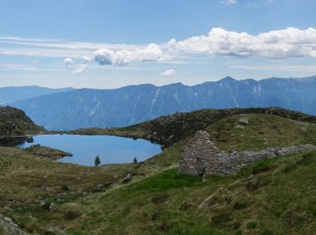 Trail On foot Bieno - Sentiero dei Boale dei Broccati - Photo