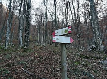 Trail On foot Venzone - IT-704 - Photo