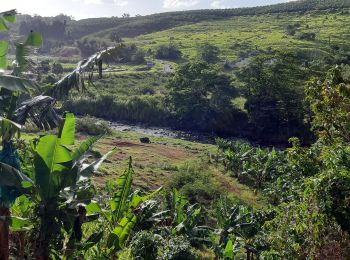 Tour Wandern Le Lorrain - Boucle Vallon - Morne-Bois - Seguineau - Photo