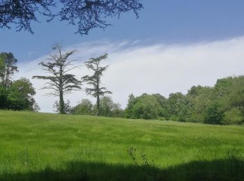 Tocht Stappen Pechbonnieu - Bellevue - Photo