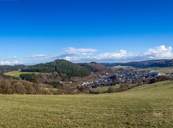 Tocht Te voet Willingen (Upland) - Willingen W8 - Photo