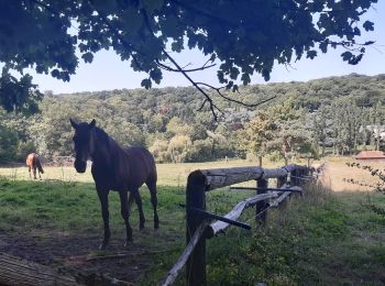 Percorso Marcia Les Loges-en-Josas - les etangs de la Minière - Photo