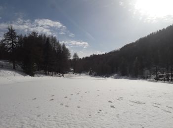 Trail Snowshoes Montricher-Albanne - Albanne - Prario -la Plagne - le Belvedere - Photo