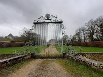 Tocht Stappen Nandy - Nandy forêt du Rougeau - Photo