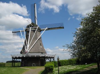 Trail On foot Kampen - WNW IJsseldelta - d'Olde Zwarver - paarse route - Photo