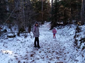 Randonnée Marche Saint-Martin-en-Vercors - Pas st Martin - Photo