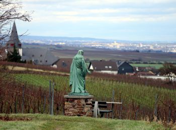 Percorso A piedi Oestrich-Winkel - Oestricher Flötenweg - Photo