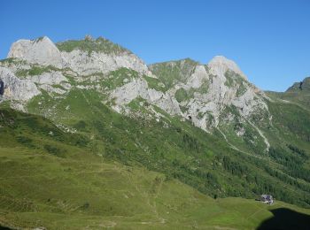 Tour Zu Fuß Forni Avoltri - IT-140 - Photo