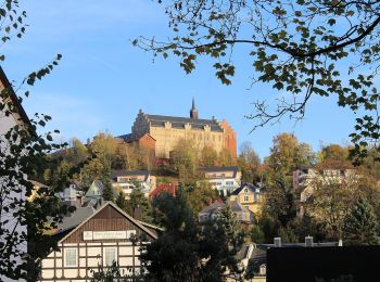 Excursión A pie Zwönitz - Kreiswanderweg Stollberg - Photo