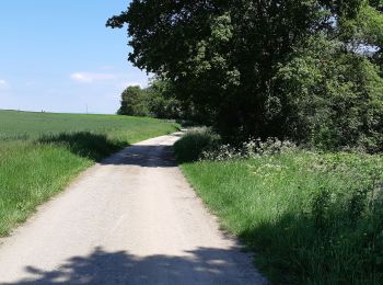 Excursión Senderismo Saint-Ignat - LE VAL DE MORGE - Photo