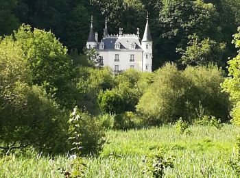 Tour Wandern Villiers-le-Bâcle - Rigole de Saint Aubin - Photo