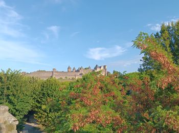 Percorso Marcia Karkasonas - carcassonne under the sun  - Photo