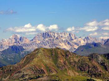 Tour Zu Fuß Castello-Molina di Fiemme - Sentiero dei Mangheneti - Photo