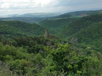 Trail Walking Grandeyrolles - ravin de quinsat - Photo