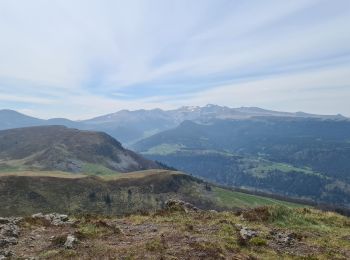 Trail Walking Murat-le-Quaire - coux-tenon-banne-rochefees-labourboule - Photo