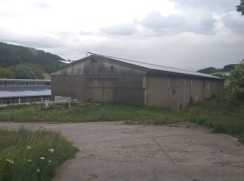 Randonnée A pied Heilbad Heiligenstadt - Wanderweg von Heilbad Heiligenstadt zur Kapelle Steinhagen - Photo