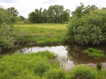 Tour Zu Fuß Winsen (Aller) - Südheide 'Wasser und Sand' W17k (kurze Tour) - Photo