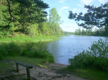 Trail On foot  - Järnbärarleden - Photo