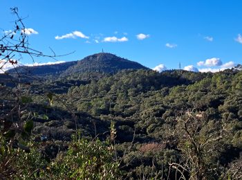 Tour Wandern Tornac - Autour de Tornac - Photo