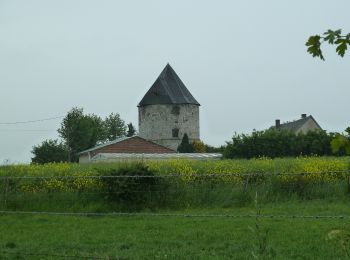 Tocht Te voet Vauchelles-lès-Authie - Circuit du Pigeonnier au Moulin - Photo