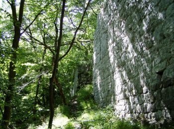 Trail On foot Gemeinde Baden - Rainerweg - Photo