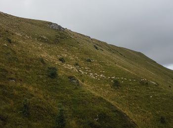 Percorso Marcia Mont-Dore - Puy de Sancy par les crêtes - Photo