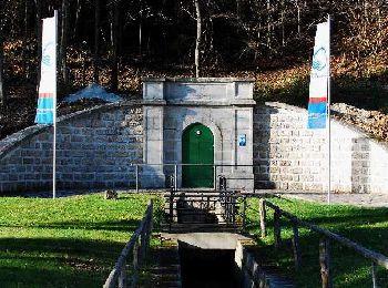 Percorso A piedi Gemeinde Ternitz - Stixenstein - Lärbaumkreuz - Photo