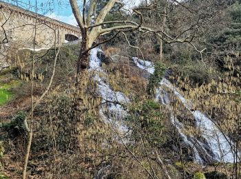 Tocht Stappen Cenne-Monestiés - Cenne-Monestiés, lac et  Villemagne - Photo