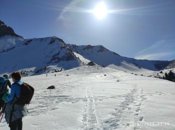 Tocht Stappen Faverges-Seythenex - la sambuy - Photo