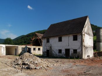 Excursión A pie Gemeinde Weissenbach an der Triesting - Weißenbach a.d. Triesting - Wolfsgrube - Veiglkogel - Photo